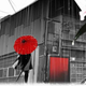 Illustration for article titled First Look at the Upcoming Game from emNo More Heroes/em Studio